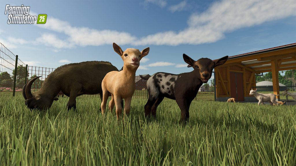 图片[4]-模拟农场25/Farming Simulator 25-集游星软件站-专注优质游戏软件下载
