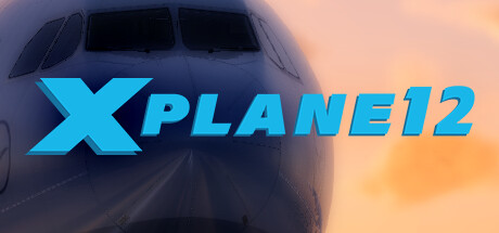 专业飞行模拟12/X-Plane 12-集游星软件站