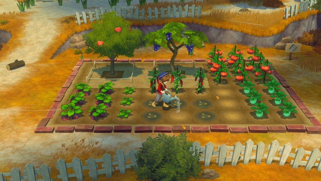 牧场物语来吧！风之繁华集市/STORY OF SEASONS: Grand Bazaar-集游星软件站-专注优质游戏软件下载