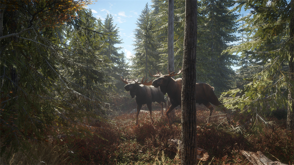 猎人荒野的召唤/theHunter: Call of the Wild-集游星软件站-专注优质游戏软件下载