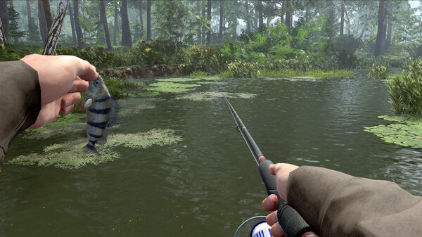 图片[4]-专业钓鱼2/Professional Fishing 2-集游星软件站-专注优质游戏软件下载