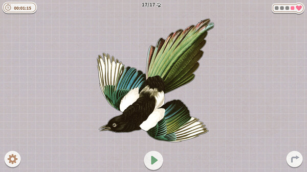 图片[2]-挤在一起的鸟鸟/Birds Huddled Together-集游星软件站-专注优质游戏软件下载