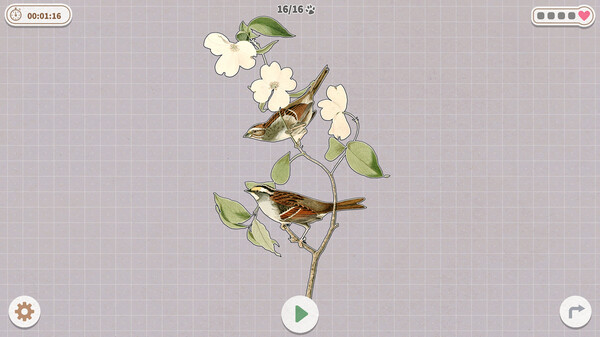 图片[4]-挤在一起的鸟鸟/Birds Huddled Together-集游星软件站-专注优质游戏软件下载
