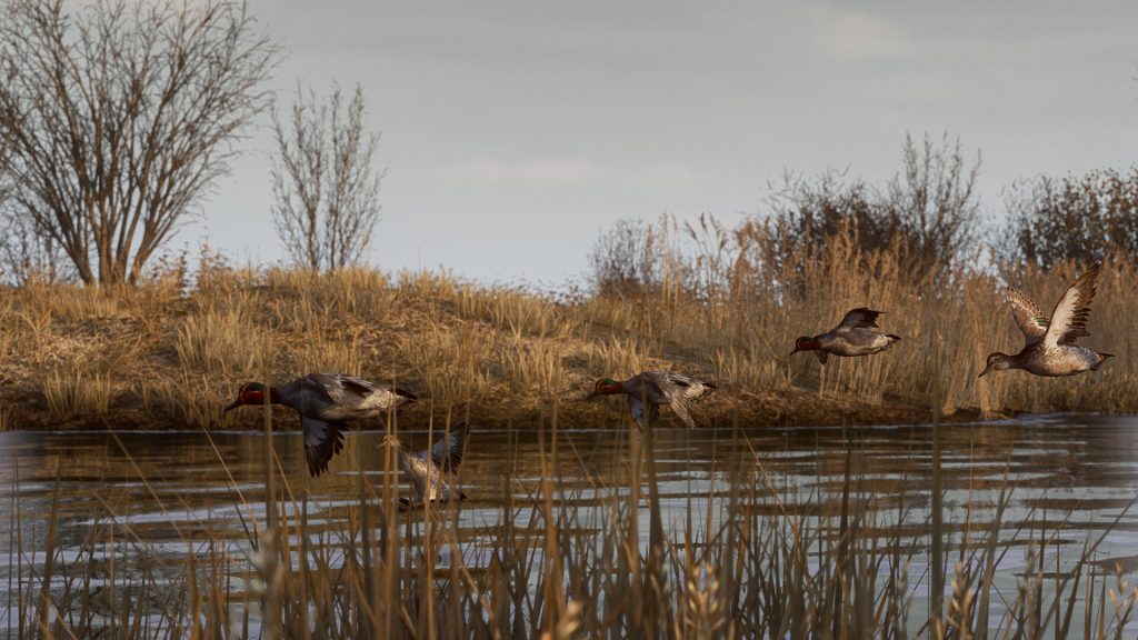 图片[1]-BULT狩猎模拟器游戏免费下载-BULT狩猎模拟器中文版下载