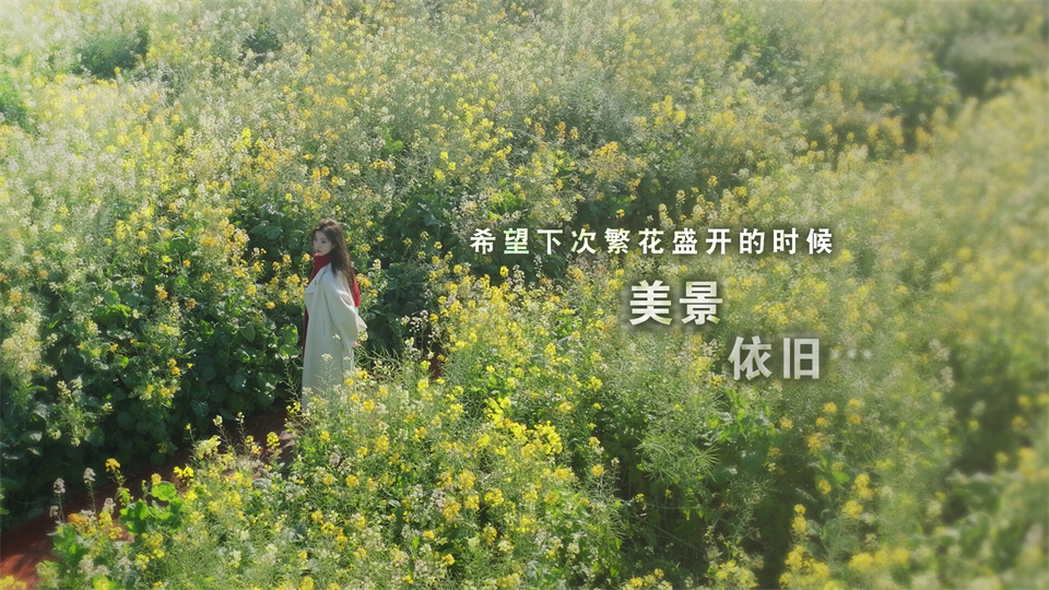 图片[3]-这个是真的喜欢/I’ve Fallen For You!-集游星软件站-专注优质游戏软件下载