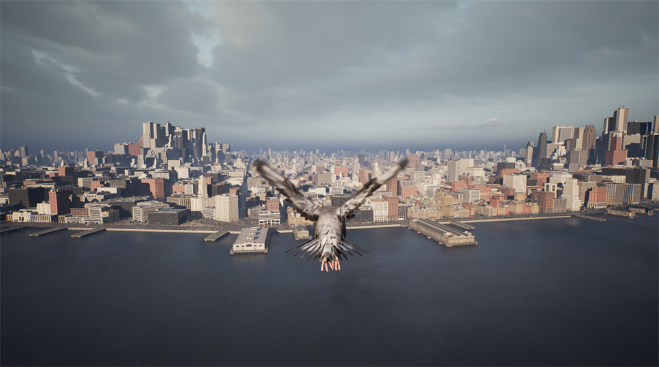鸽子飞行模拟器/Pigeon Flight Simulator-集游星软件站-专注优质游戏软件下载