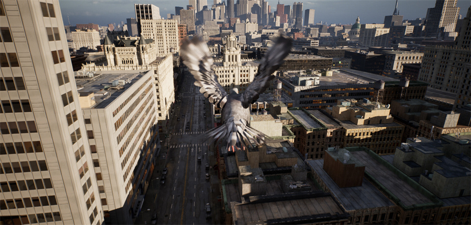 图片[2]-鸽子飞行模拟器/Pigeon Flight Simulator-集游星软件站-专注优质游戏软件下载