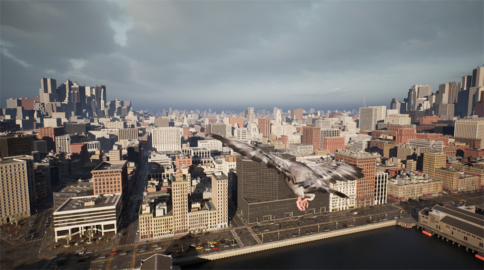 图片[3]-鸽子飞行模拟器电脑版下载-鸽子飞行模拟器破解版免费下载