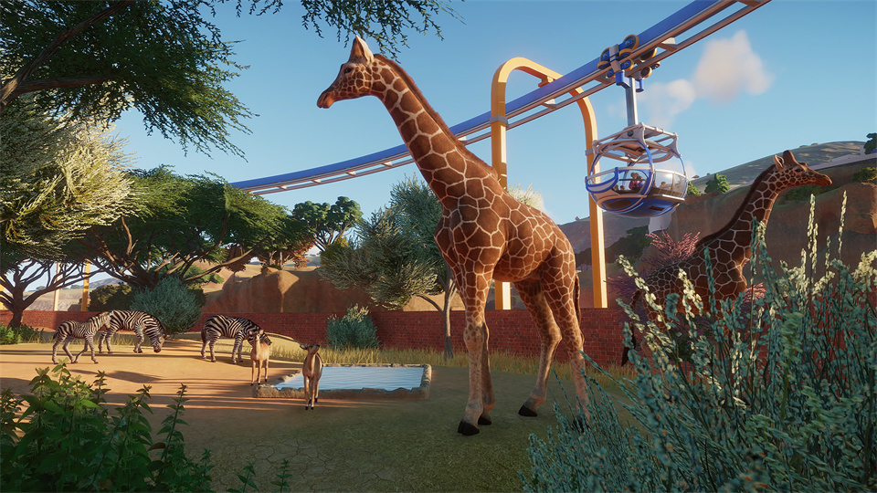 图片[3]-动物园之星/Planet Zoo