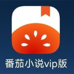 【技术教程】番茄免费小说解锁会员教程🔥支持安卓16-集游星软件站-专注优质游戏软件下载