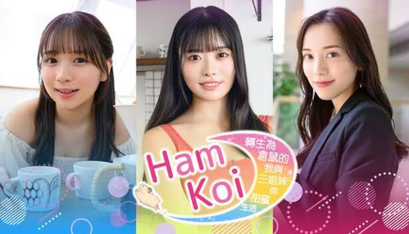 HamKoi转生为仓鼠的我与三姐妹的甜蜜生活-集游星软件站-专注优质游戏软件下载